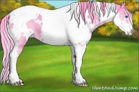 Horse Color:Watercolor White Spotted Black Splash Tobiano 