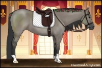 Horse Color:Grullo 