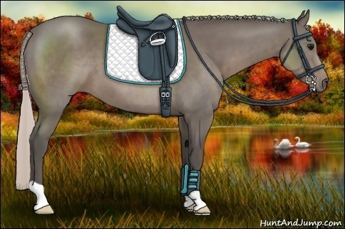 Horse Color:Silver Black 