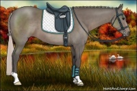 Horse Color:Silver Black 