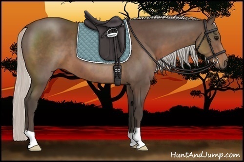 Horse Color:Silver Black 