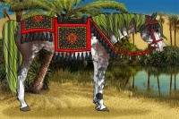 Horse Color:Painted Bay Sabino Rabicano 