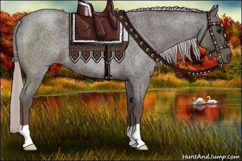 Horse Color:Silver Blue Roan 