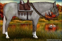 Horse Color:Silver Blue Roan 