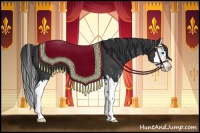 Horse Color:Black Sabino Splash