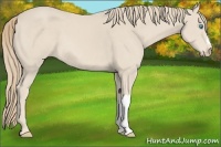 Horse Color:Chocolate Smoky Creme 
