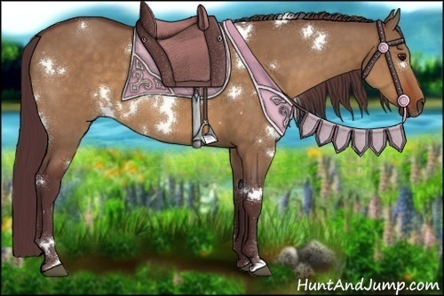 Horse Color:White Spotted Chocolate Bay Dun 