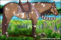 Horse Color:White Spotted Chocolate Bay Dun