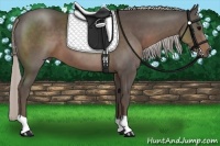 Horse Color:Silver Black 