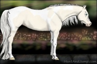 Horse Color:Cremello Dun Tobiano