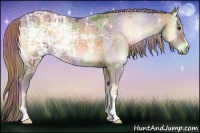 Horse Color:Nacre Chocolate Palomino Ice Onyx 