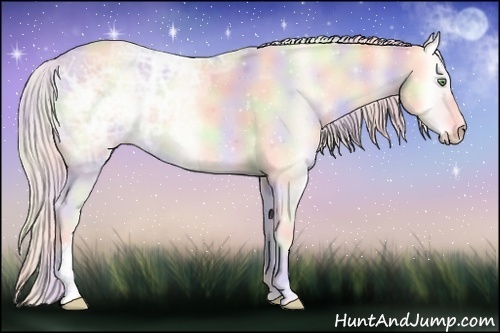 Horse Color:Nacre Cremello Ice Onyx