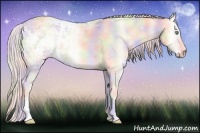 Horse Color:Nacre Cremello Ice Onyx 