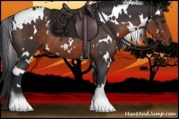 Horse Color:White Spotted Brown Rabicano 
