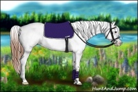 Horse Color:Bay Roan Splash Frame Snowcap 