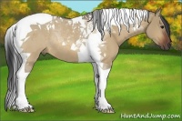 Horse Color:Bay Dun Tobiano Rabicano