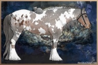 Horse Color:White Spotted Liver Chestnut Varnish 