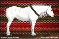 Horse Color:Buckskin Roan Dun Sabino Appaloosa Rabicano