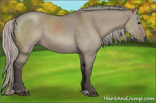 Horse Color:Silver Grullo Sabino 