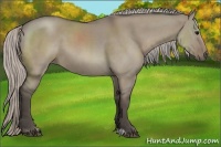 Horse Color:Silver Grullo Sabino 