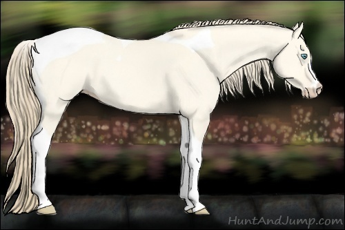 Horse Color:Perlino Dun Tobiano