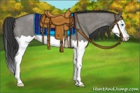 Horse Color:Grullo Roan Splash 