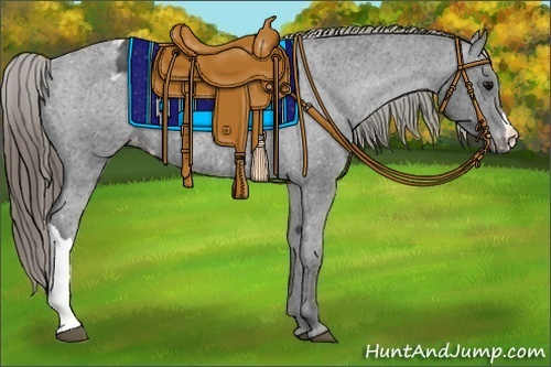 Horse Color:Smoky Black Appaloosa Rabicano 