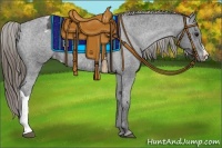 Horse Color:Smoky Black Appaloosa Rabicano