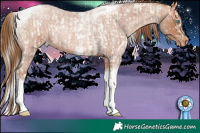 Horse Color:Silver Amber Cream Champagne Roan Pearl Tobiano and Bay Roan Pearl Tobiano