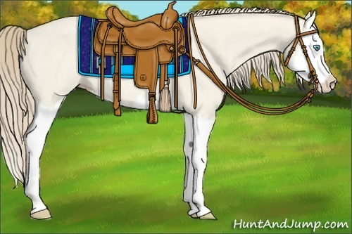 Horse Color:Smoky Creme Dun Splash Rabicano 