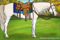 Horse Color:Smoky Creme Dun Splash Rabicano