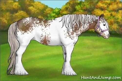 Horse Color:White Spotted Silver Brown 