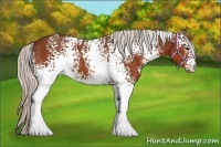 Horse Color:White Spotted Silver Bay 