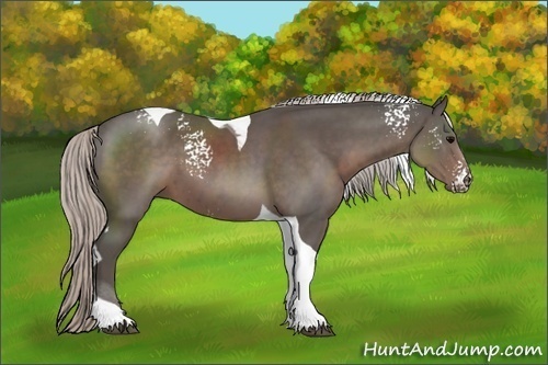 Horse Color:White Spotted Silver Black Tobiano 