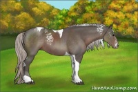 Horse Color:White Spotted Silver Black Tobiano