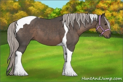 Horse Color:Silver Black Tobiano
