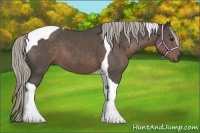 Horse Color:Silver Black Tobiano