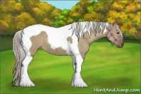 Horse Color:Silver Grullo Tobiano