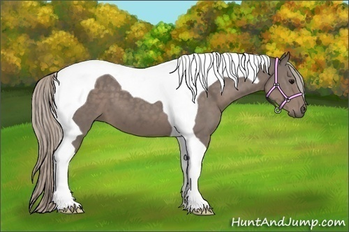 Horse Color:Silver Black Tobiano 