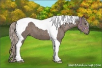 Horse Color:Silver Black Tobiano