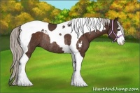 Horse Color:Silver Bay Sabino Tobiano Rabicano