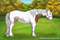Horse Color:Silver Bay Splash Tobiano 