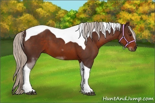 Horse Color:Silver Brown Tobiano