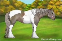 Horse Color:Silver Black Tobiano