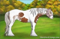 Horse Color:Silver Bay Sabino Tobiano 