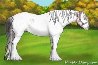 Horse Color:White Spotted Amber Champagne Tobiano