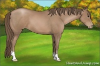 Horse Color:Black Pearl