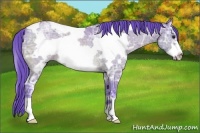 Horse Color:Watercolor White Spotted Brown Ice Dun Frame Rabicano