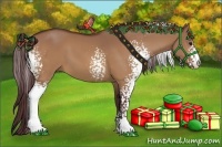 Horse Color:White Spotted Chocolate Bay Dun Sabino 