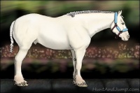 Horse Color:Silver Amber Cream Champagne Pearl Dun